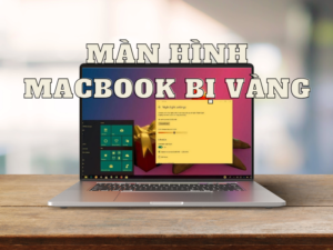 Màn hình MacBook bị vàng: Nguyên nhân và cách khắc phục hiệu quả